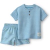Blue Fish Stripes