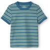Blue and Green Stripe