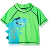 Dinosaur