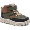 Olive-multi