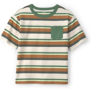 Carter’s Boys’ Short-Sleeve Graphic Tee Shirt(Green Multi Stripe)